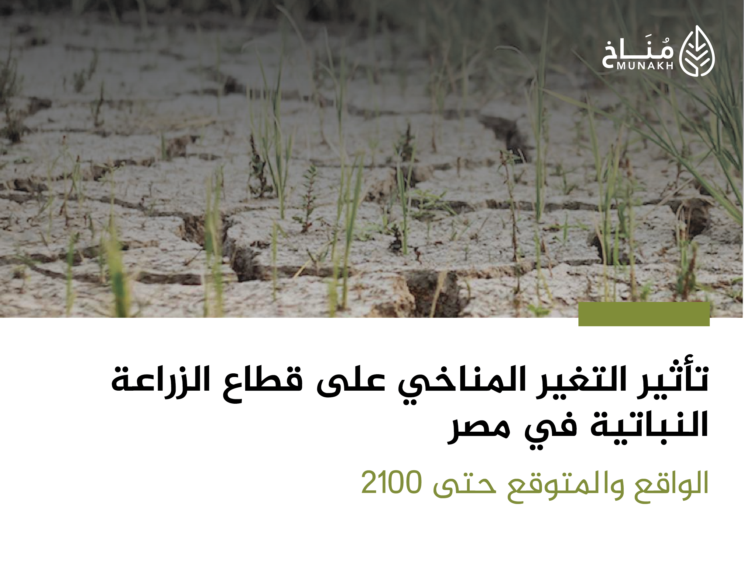 Read more about the article تأثير التغير المناخي على قطاع الزراعة النباتية في مصر: الواقع والمتوقع حتى 2100