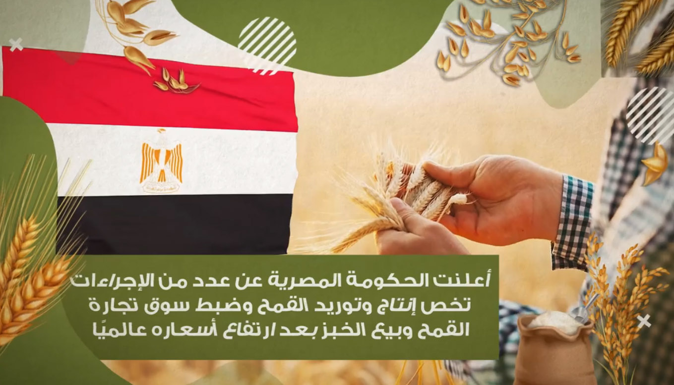 Read more about the article فيديو.. من تقرير “أزمة القمح.. الحق في الغذاء حق للريف كما للمدينة”