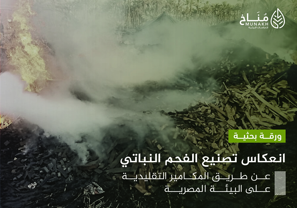 Read more about the article انعكاس تصنيع الفحم النباتي عن طريق المكامير التقليدية على البيئة المصرية